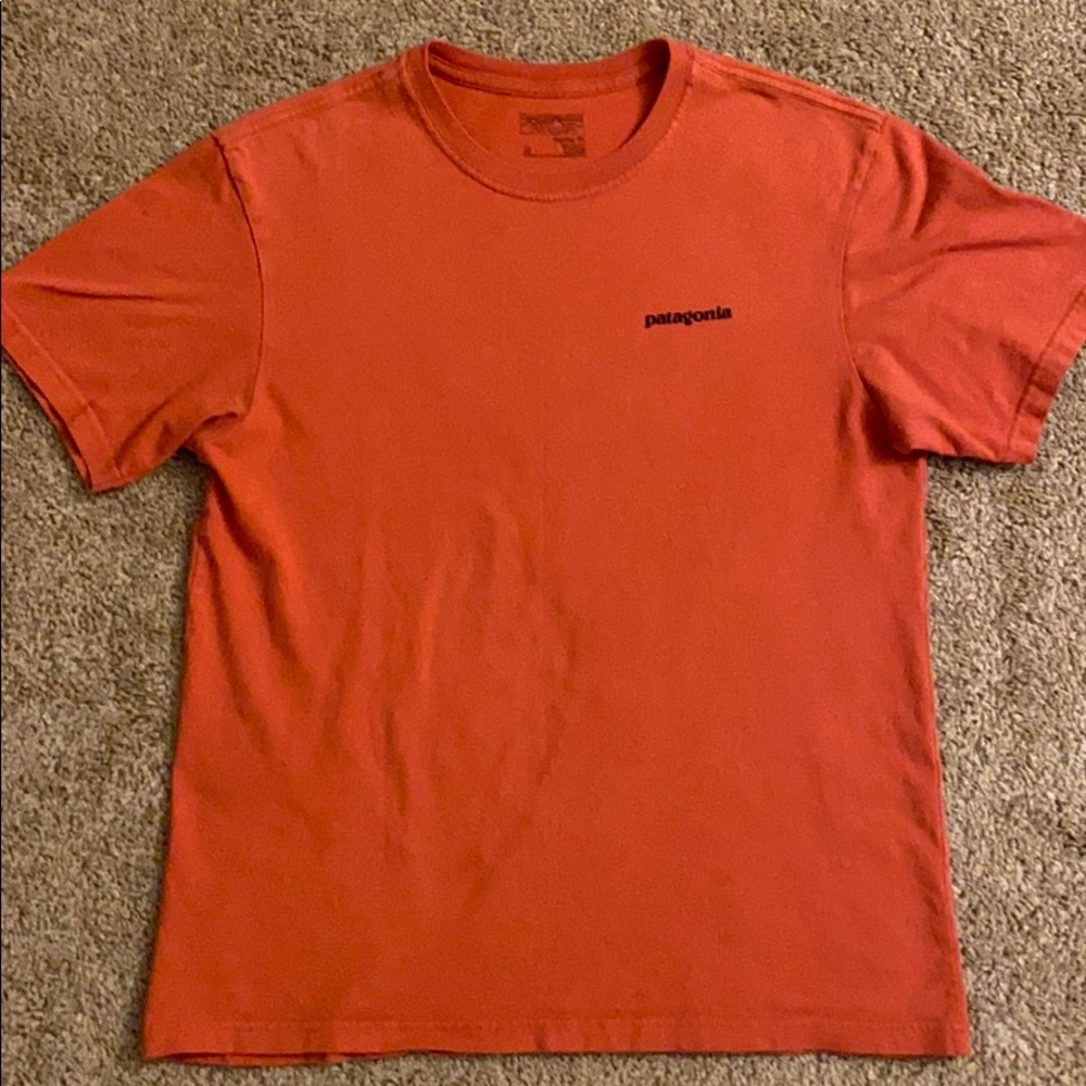 Patagonia t shirt
